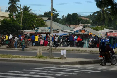 DSC_9751 (Large).JPG